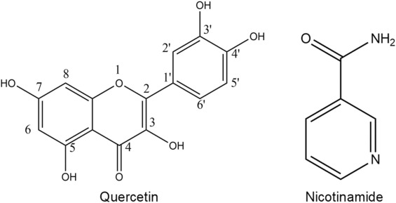 Introducing Our Quercetin-Niacin Co-Crystals