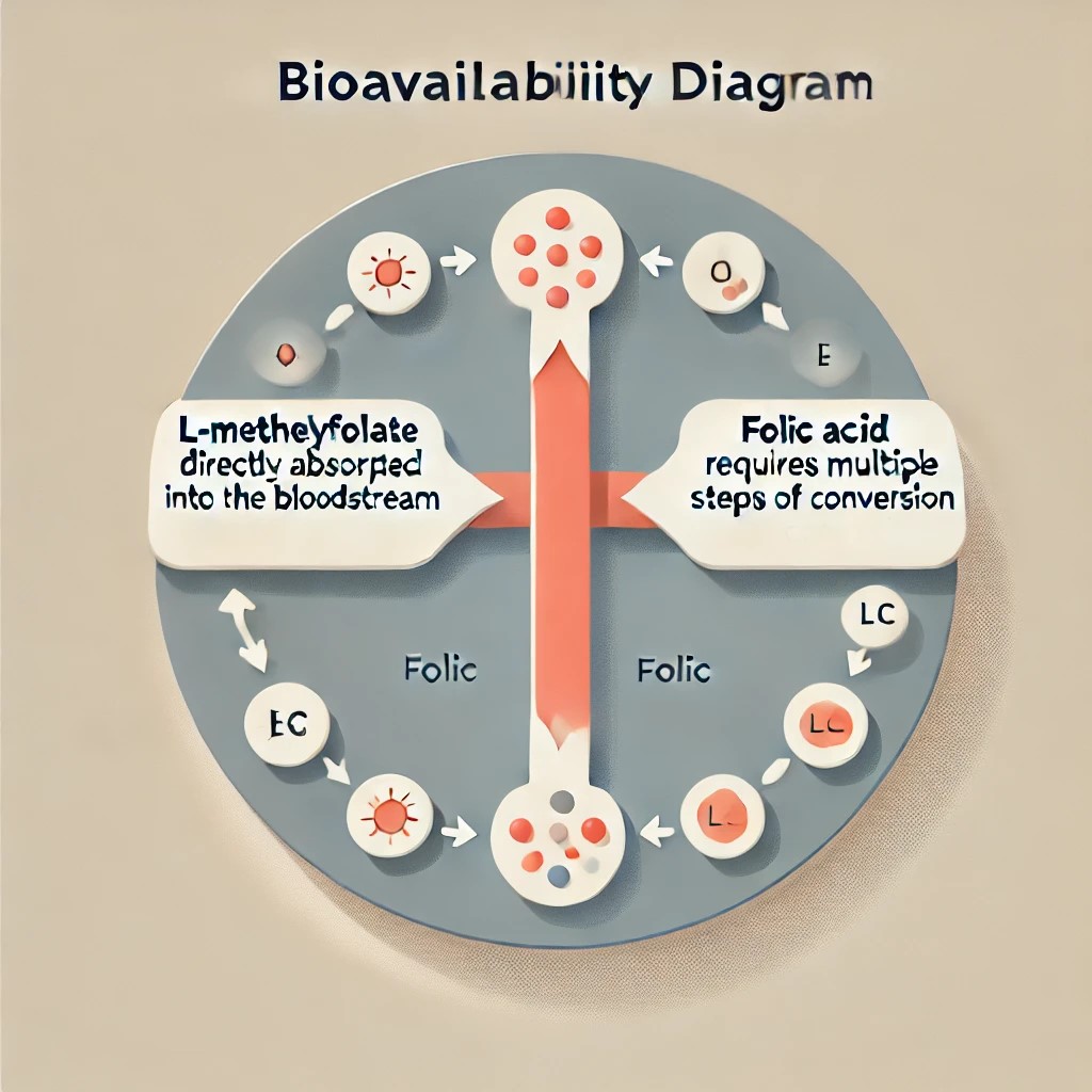 Diagram explaining how L-Methylfolate is directly absorbed and utilized, bypassing conversion needed by folic acid.