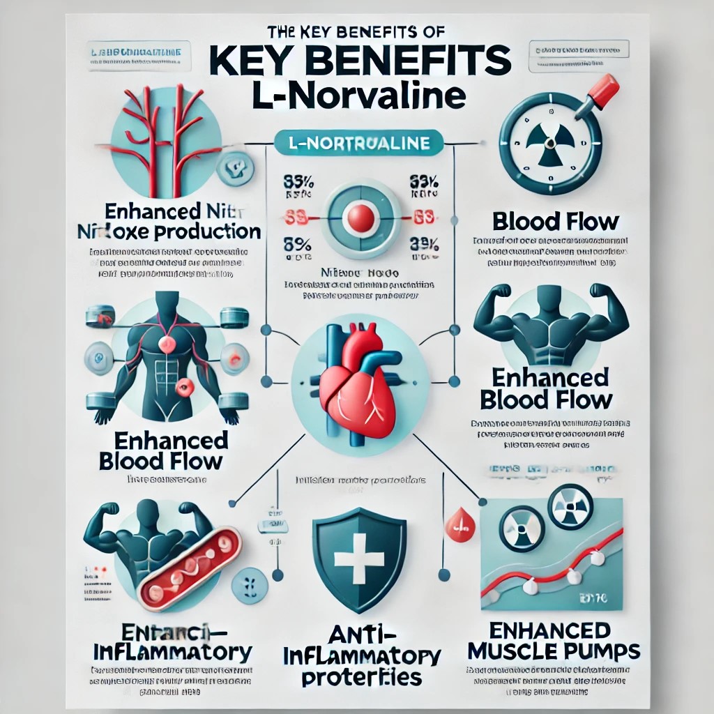 Benefits of L-Norvaline - enhanced nitric oxide production, muscle pumps, cardiovascular health.