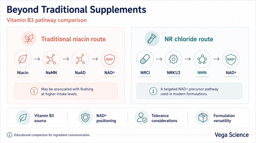 Nicotinamide Riboside Chloride Beyond Traditional Supplements ingredient information and supply support