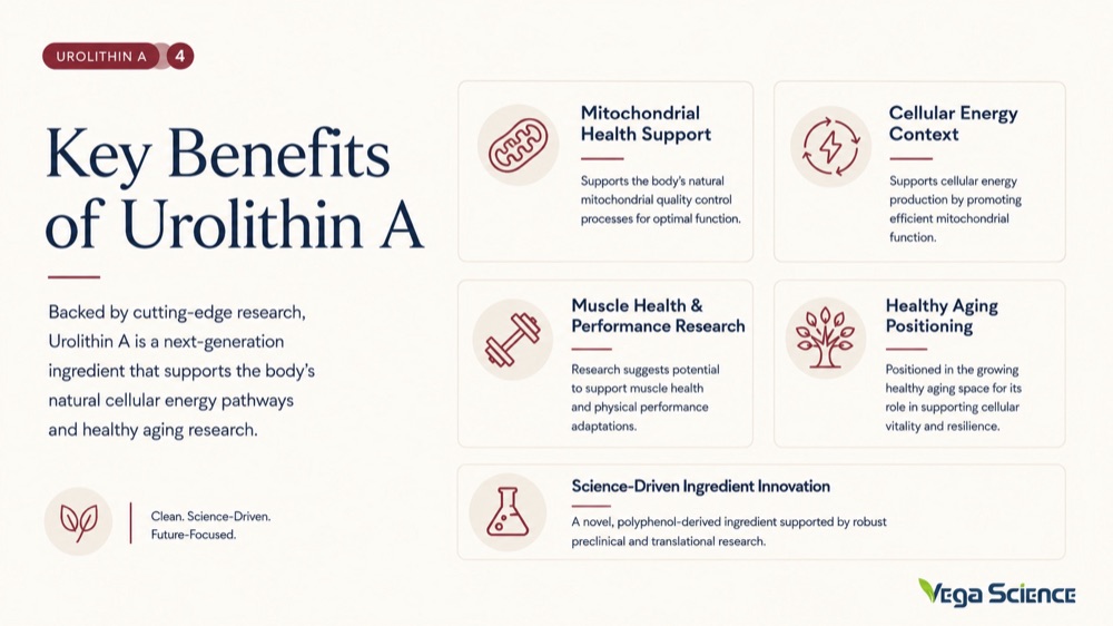 Urolithin A Key Benefits of Urolithin A ingredient information and formulation support