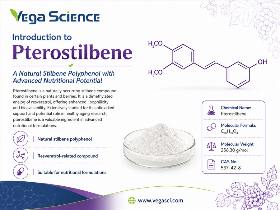 Pterostilbene ingredient overview with chemical identity and natural stilbene positioning