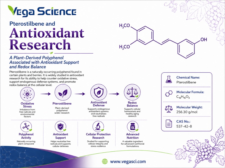 Pterostilbene antioxidant research illustration for redox balance and cellular support