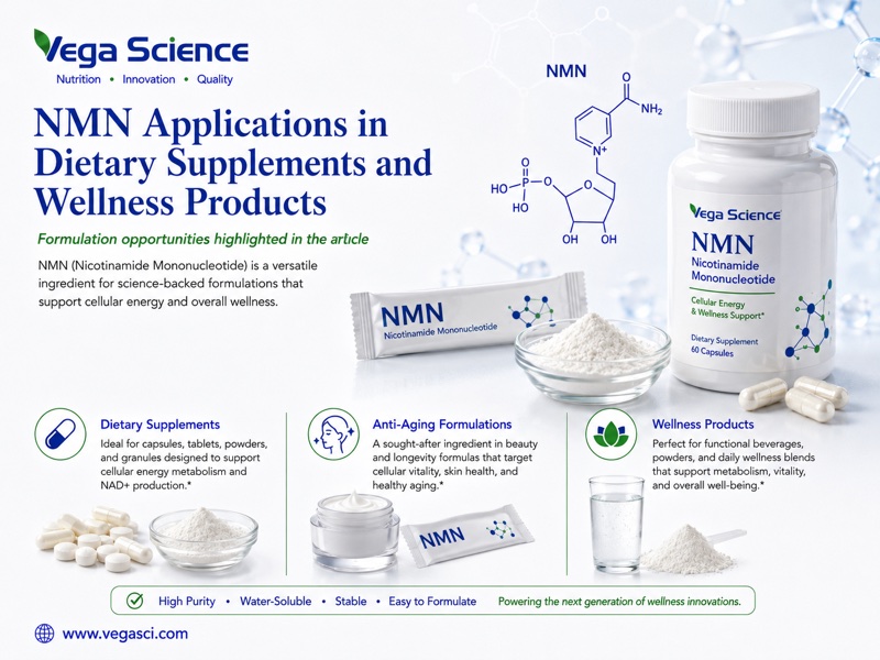 NMN supplement formulation application infographic