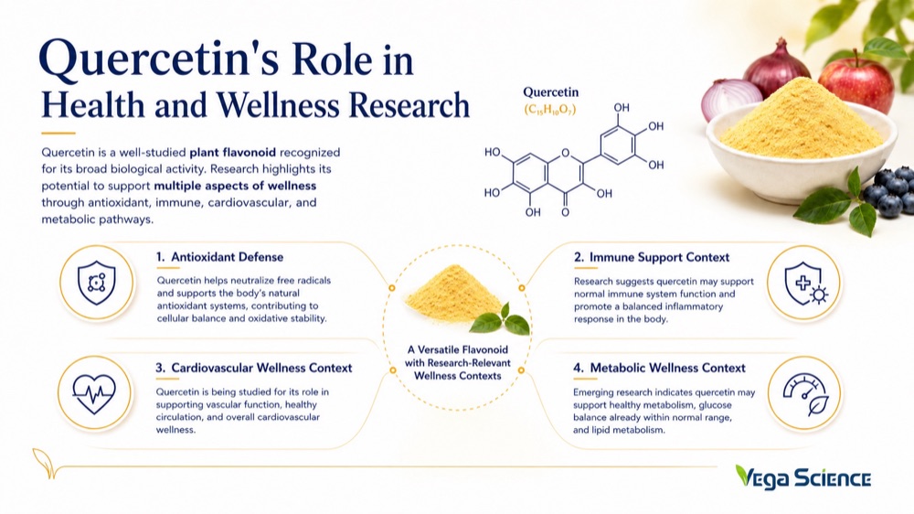 Quercetin Quercetin s Role in Health and technical Management ingredient information and formulation support