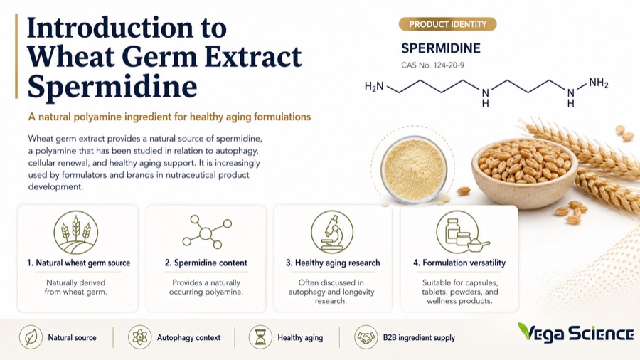 Wheat Germ Extract Spermidine Introduction to Wuxi Vega Science Co., Ltd. s Wheat Germ Extract Spermidine for Supplement ingredient information and formulation support