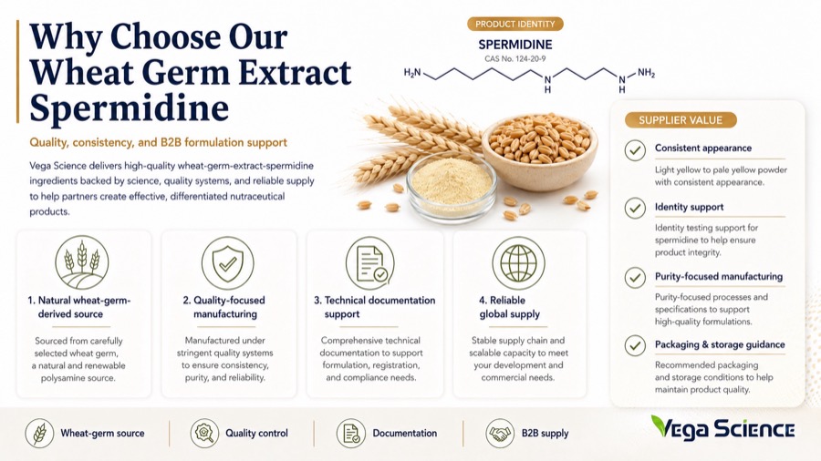 Wheat Germ Extract Spermidine Why Choose Our Wheat-Germ-Extract-Spermidine ingredient information and formulation support