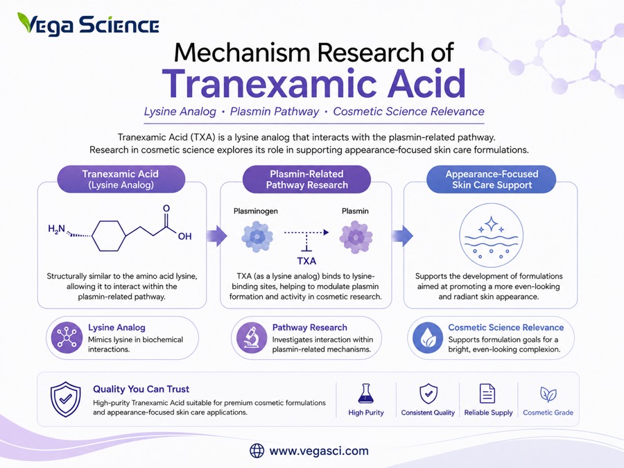 Tranexamic Acid plasmin-related pathway mechanism research infographic for cosmetic science