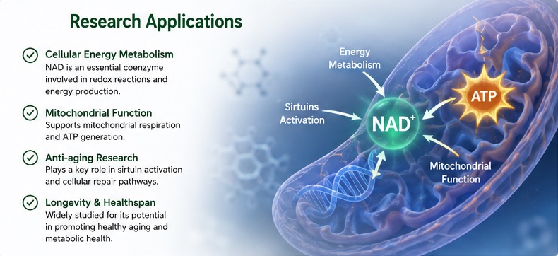 Nicotinamide Adenine Dinucleotide NAD research and formulation applications