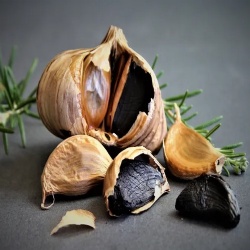 Black Garlic Extract