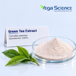 Green Tea Extract