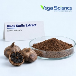 Black Garlic Extract
