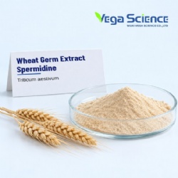Wheat Germ Extract Spermidine
